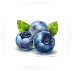 Bilberry Image