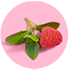 Raspberry Image