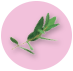 Perilla Leaf Extract Image